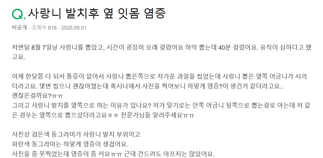 지식인이미지